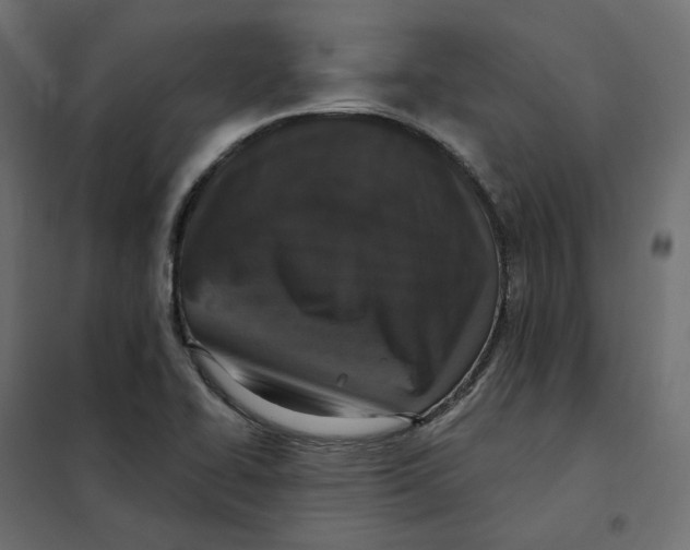 X0000102041414200808081824