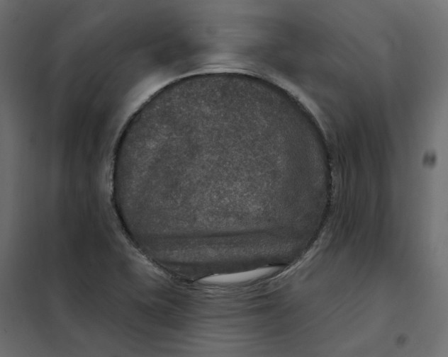 X0000102041415200808081824