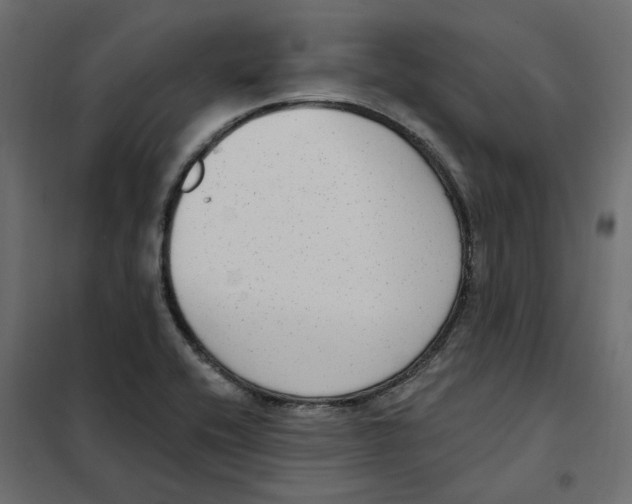 X0000102041416200808081824