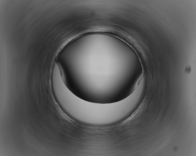 X0000102041417200808081824