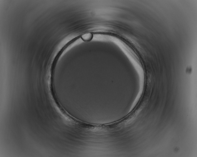 X0000102041418200808081824