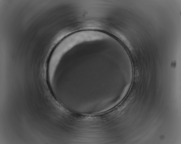 X0000102041419200808081824