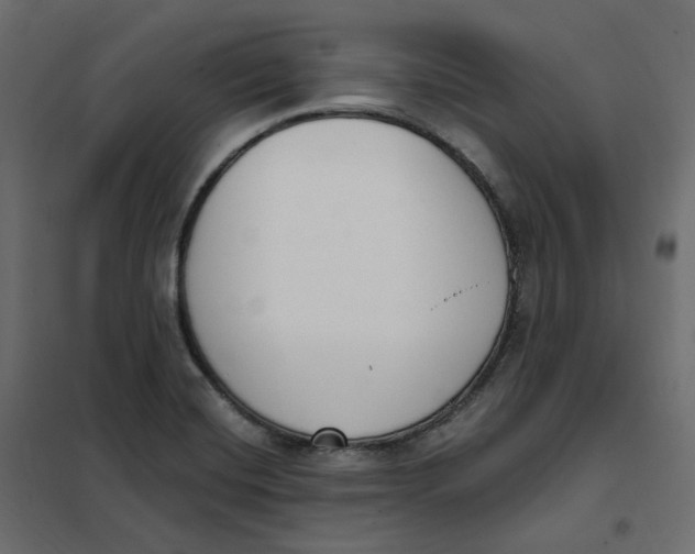 X0000102041420200808081824