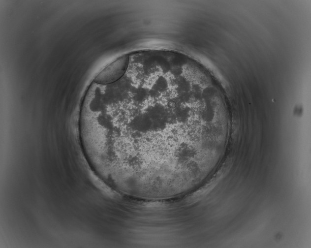 X0000102041421200808081824