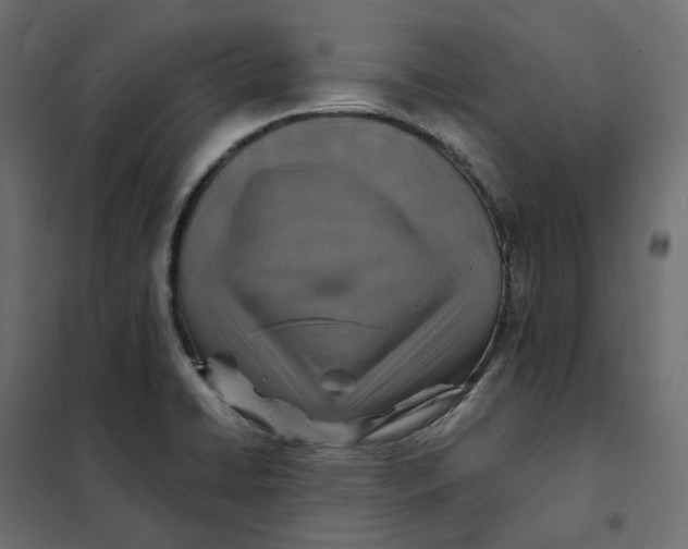 X0000102041422200808081824