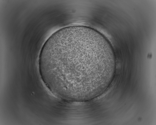 X0000102041423200808081824