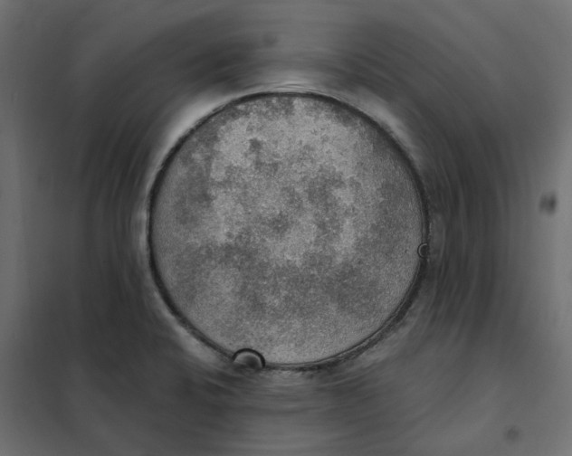 X0000102041424200808081824