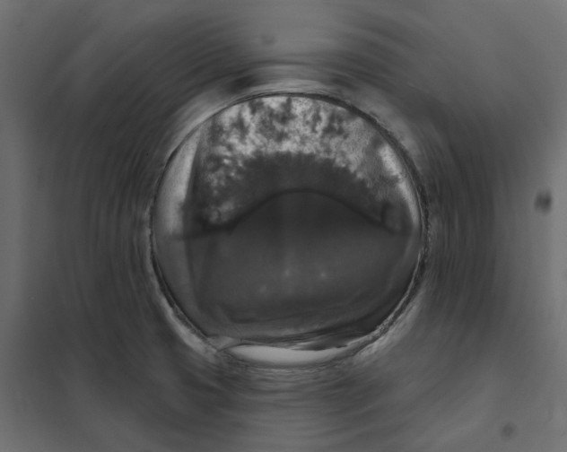 X0000102041425200808081824