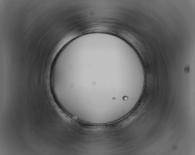 X0000102041426200808081824