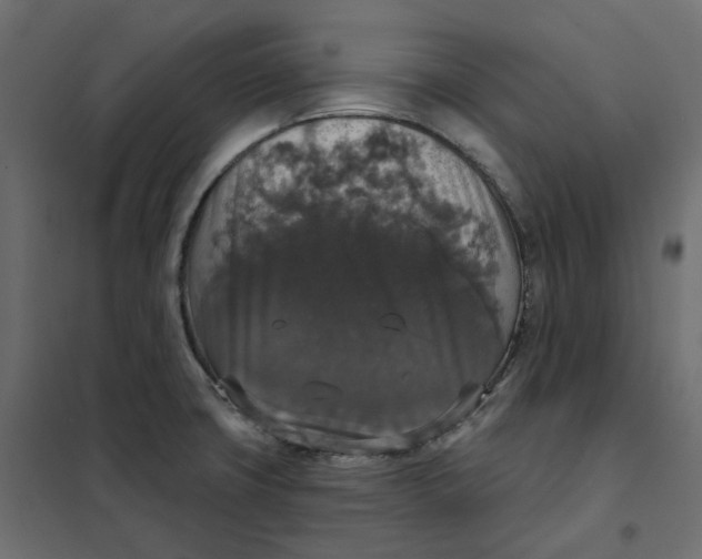 X0000102041427200808081824