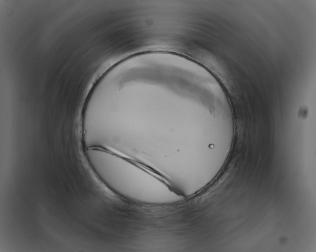 X0000102041428200808081824