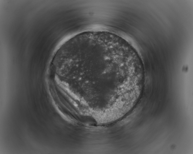 X0000102041429200808081824