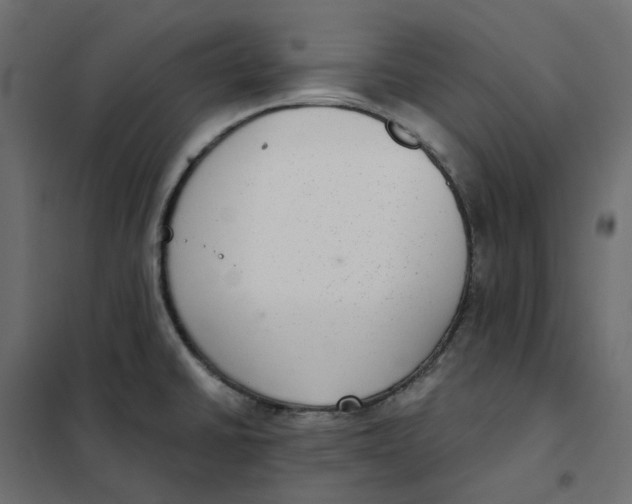 X0000102041430200808081825