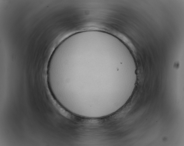 X0000102041431200808081825