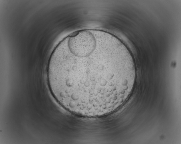 X0000102041432200808081825