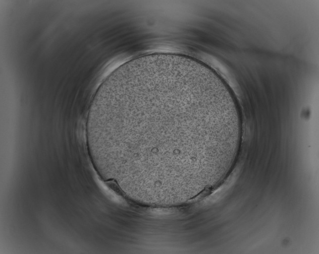 X0000102041433200808081825