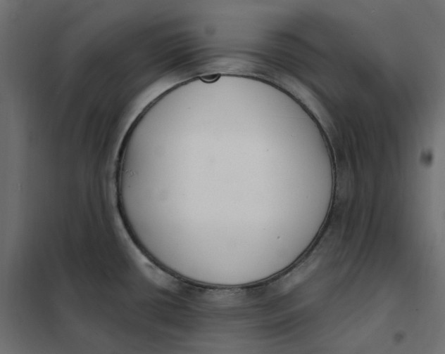 X0000102041434200808081825