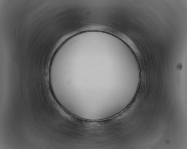 X0000102041436200808081825