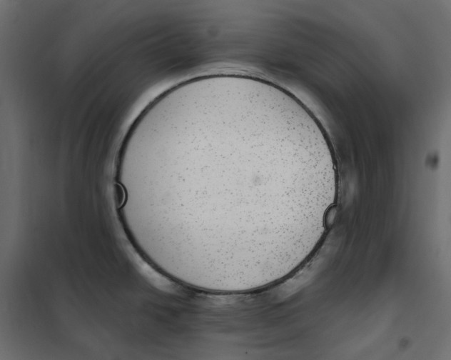 X0000102041438200808081825