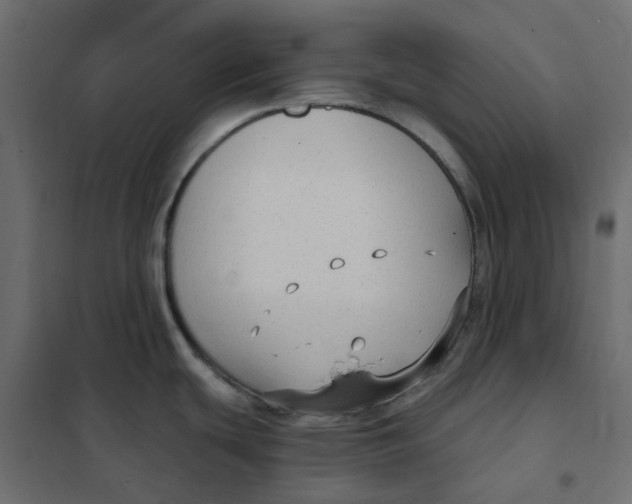 X0000102041439200808081825