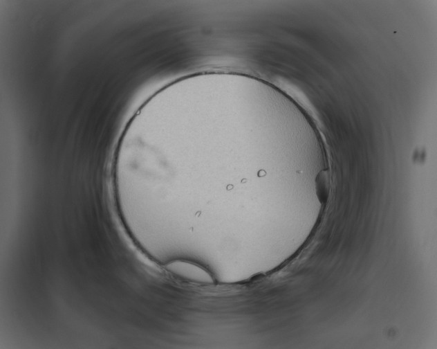 X0000102041440200808081825