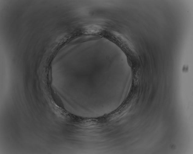 X0000102041441200808081824