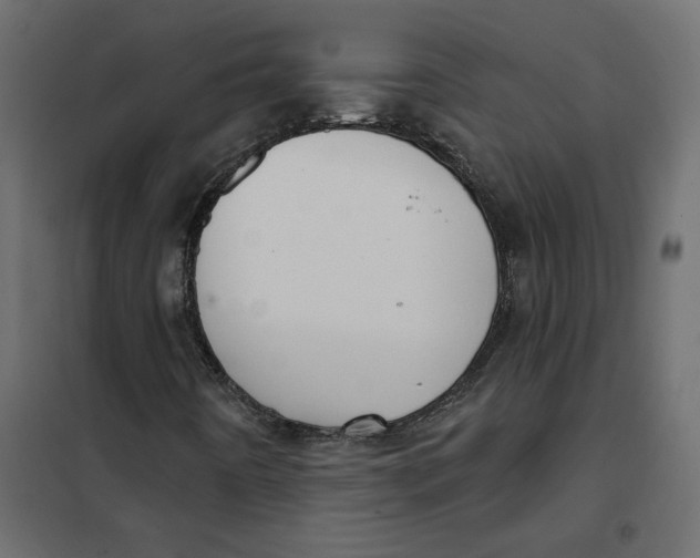 X0000102041442200808081824