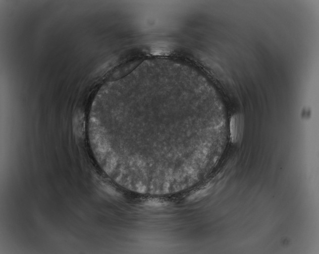 X0000102041443200808081824