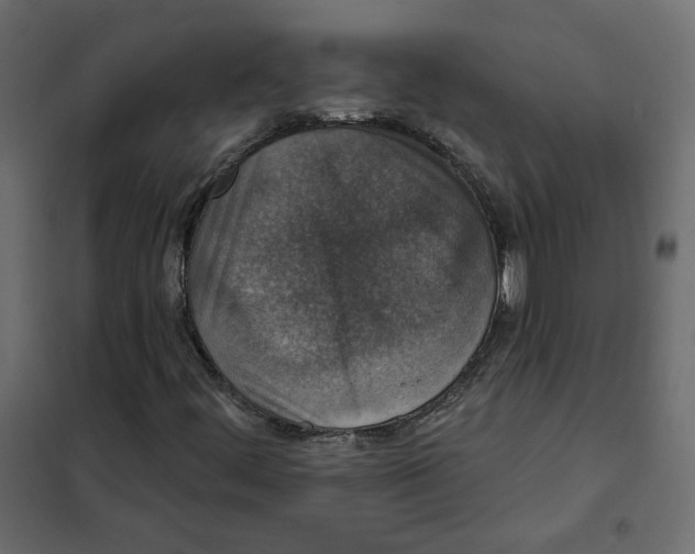 X0000102041444200808081824