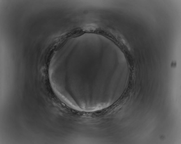 X0000102041445200808081824