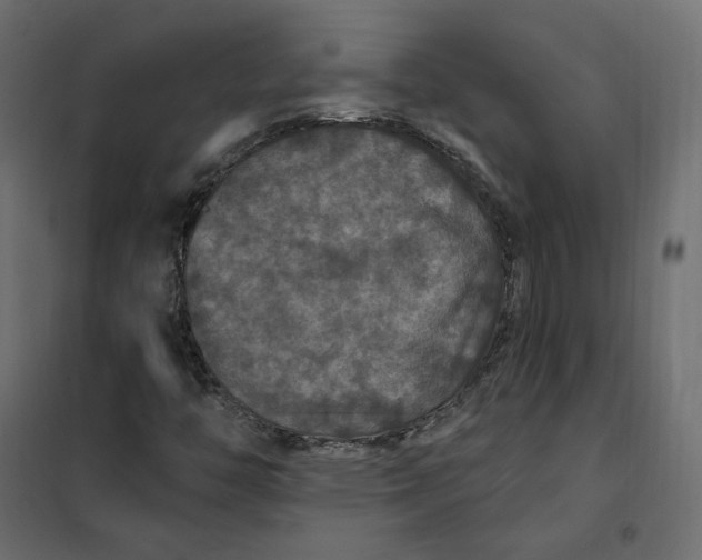 X0000102041446200808081824