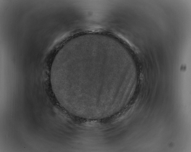 X0000102041447200808081824