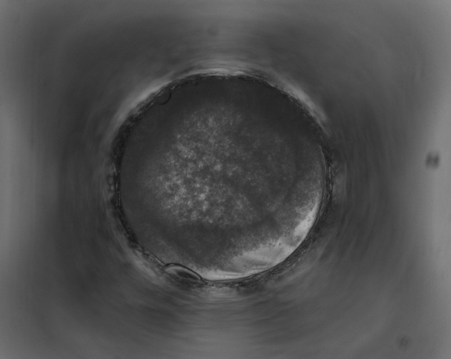 X0000102041448200808081824