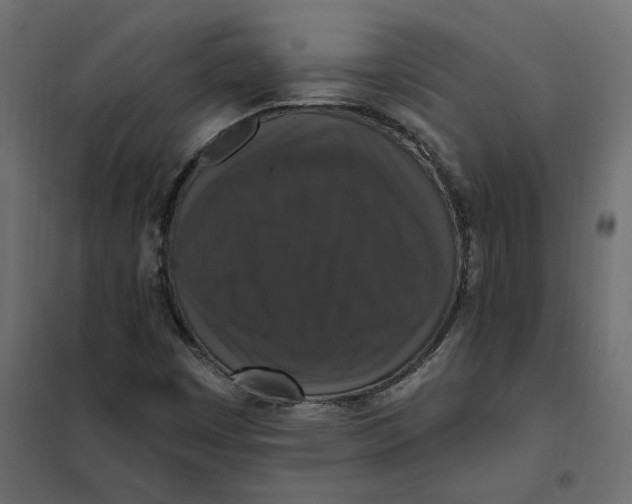 X0000102041449200808081824