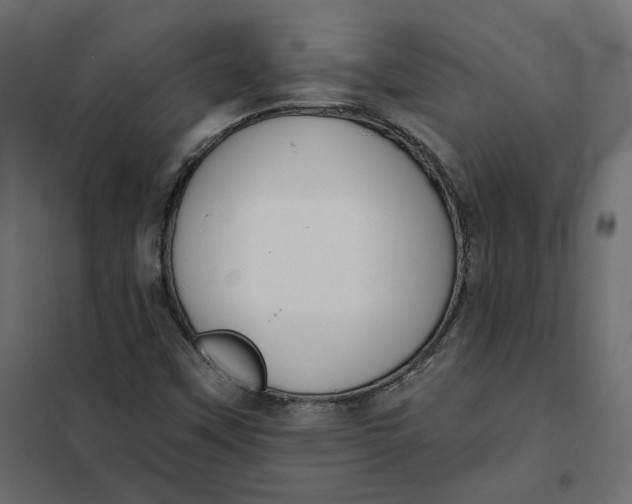 X0000102041451200808081824