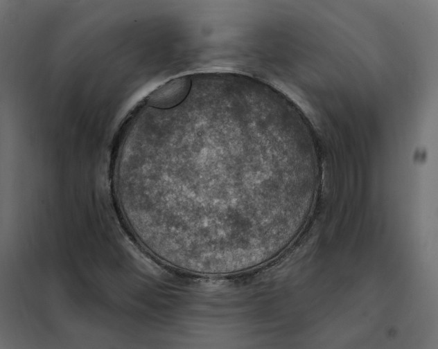 X0000102041452200808081824