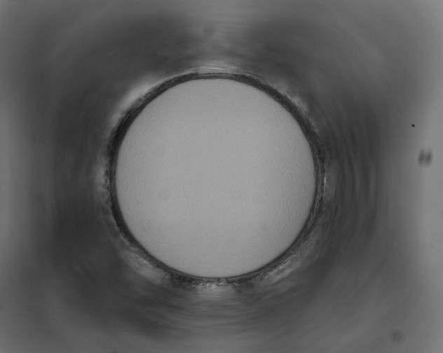 X0000102041454200808081824