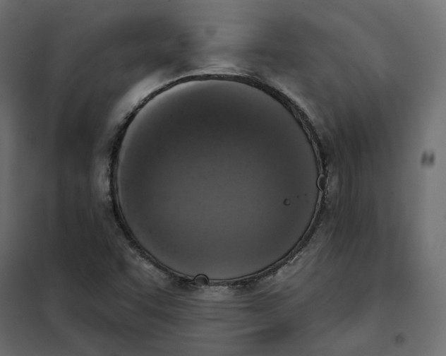 X0000102041455200808081824