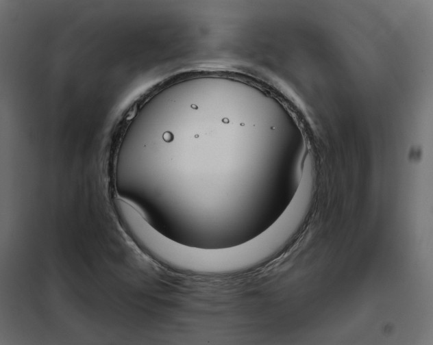 X0000102041456200808081824