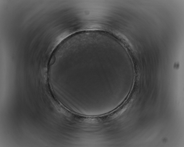 X0000102041457200808081824