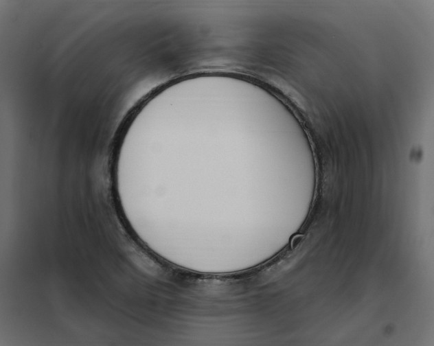 X0000102041458200808081824