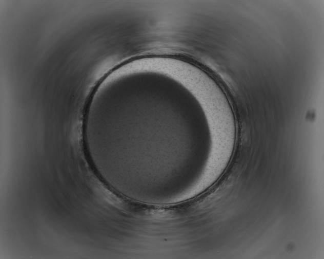 X0000102041459200808081824