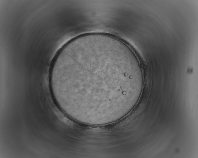 X0000102041460200808081824