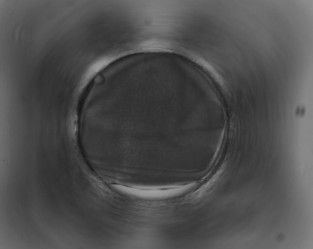 X0000102041461200808081824