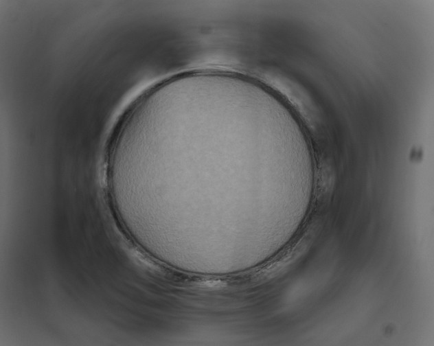 X0000102041462200808081824