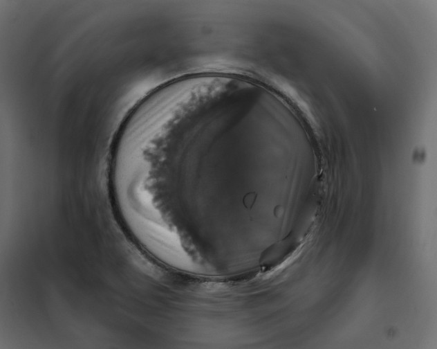 X0000102041463200808081824