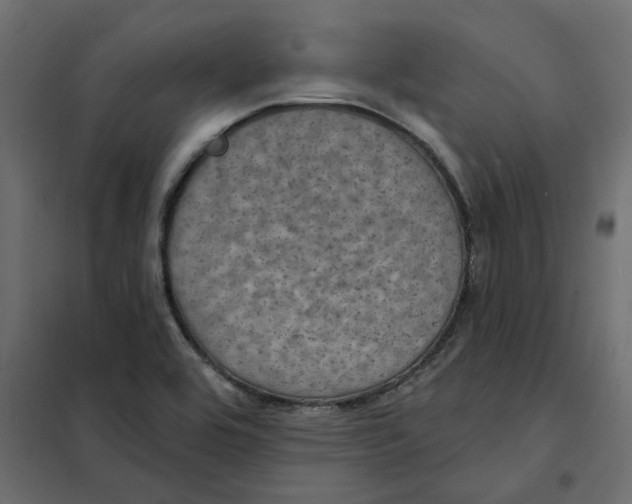 X0000102041464200808081824