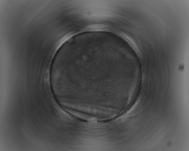 X0000102041465200808081824