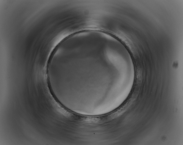 X0000102041466200808081824