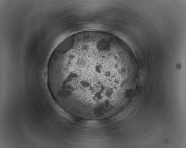 X0000102041467200808081824